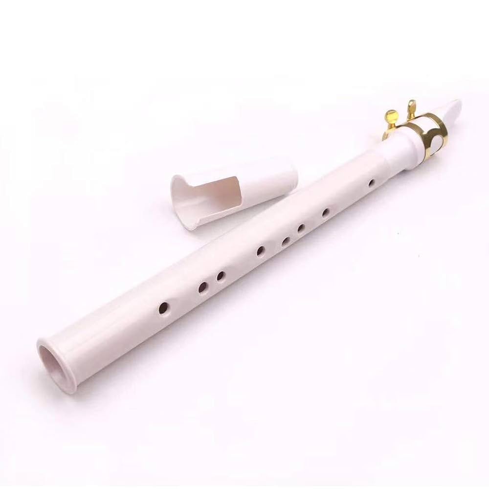Xaphoon ザフーン　ポケットサックス　ABS樹脂性サックス Amazon.co.jp: Xaphoon ザフーン ABS樹脂性サックス POCKET SAX